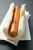 Hot dog with cheese on paper napkin