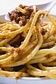 Macaroni with mince sauce (close-up)