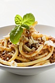 Macaroni with mince sauce, Parmesan and basil
