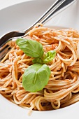 Spaghetti with tomato sauce and basil (detail)