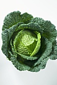 Savoy cabbage from above