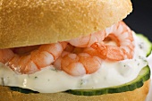 Belegtes Brötchen mit Garnelen, Gurken und Remoulade