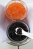 Black caviar and Keta caviar in jars (overhead view)