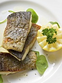 Fried trout with lemon (overhead view)