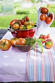 Various types of tomatoes on table out of doors