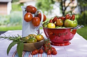 Various types of tomatoes on table out of doors