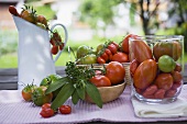 Various types of tomatoes on table out of doors