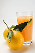 Glass of orange juice and two oranges with leaves