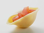 Pasta shell, filled with diced tomato