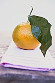 Clementine mit Blatt auf Geschirrtuch