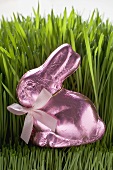 Pink chocolate Easter Bunny in grass