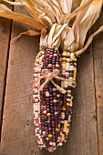 Cob of corn (Autumn decoration, USA)