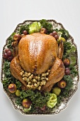 Stuffed turkey on platter (overhead view)