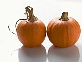 Two orange pumpkins