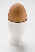 Brown egg in eggcup