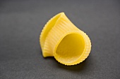 Lumaconi (pasta shell)