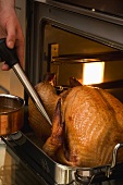 Basting turkey with roasting juices, in the oven