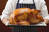 Chef holding stuffed roast turkey on baking tray