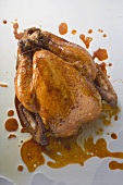 Roast chicken (overhead view)