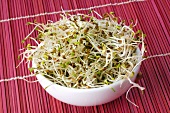 Alfalfa sprouts in white bowl