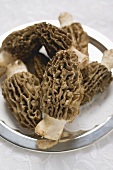 Several morels on silver plate (close-up)