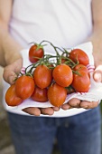 Person hält frische Tomaten auf Geschirrtuch