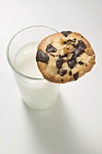 Chocolate chip peanut cookie on glass of milk