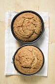 Two freshly baked cakes in baking tins (overhead view)