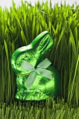 Green Easter Bunny in grass
