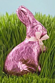 Easter Bunny in grass