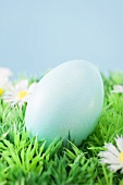 Blue Easter egg in grass with daisies