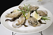 Fresh oysters with lemon on table in restaurant