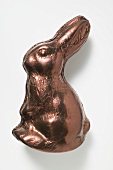 Chocolate bunny in brown foil