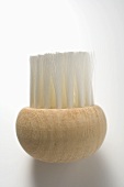 Truffle brush on white background