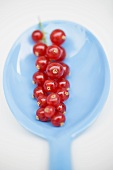 Redcurrants on spoon