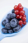 Blueberries and redcurrants on blue spoon