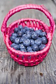 Blueberries in basket on wooden table