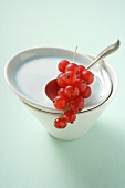 Redcurrants on spoon on top of plate and bowl