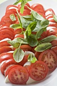 Tomatoes and mozzarella with basil