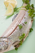 Trout with parsley, lemon wedges and salt