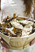 Woman holding basket full of fresh oysters