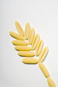 Pasta forming a flower