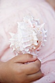 Child's hand holding sea shell
