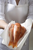 Woman holding fresh red mullet on paper