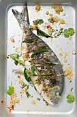 Roasted gilthead bream with lemon grass & coriander leaves