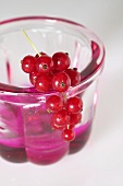 Jelly in small jelly mould with redcurrants