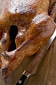 Roast duck (detail)