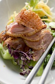 Duck breast on vegetables (Asia)