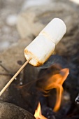 Marshmallows on stick over camp-fire