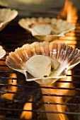 Scallops on barbecue (close-up)